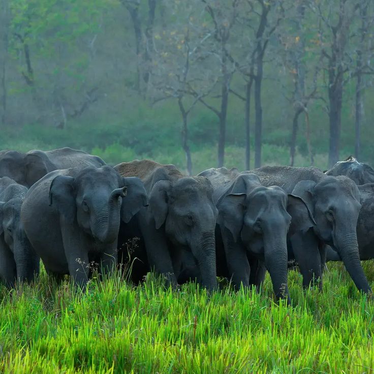 Best Travel Tour Agency in Kerala Best Travel Tour Agency in Kerala