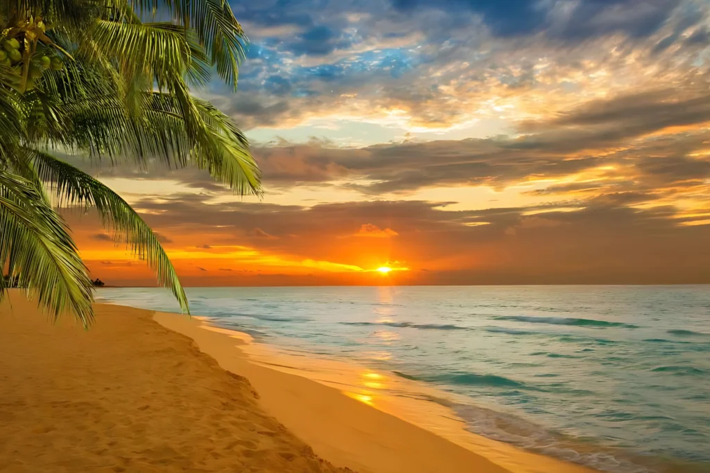 Tourist Packages in Kerala | 6N - 2N Munnar 1N Thekkady 1N Alleppey Houseboat 2N Kovalam
